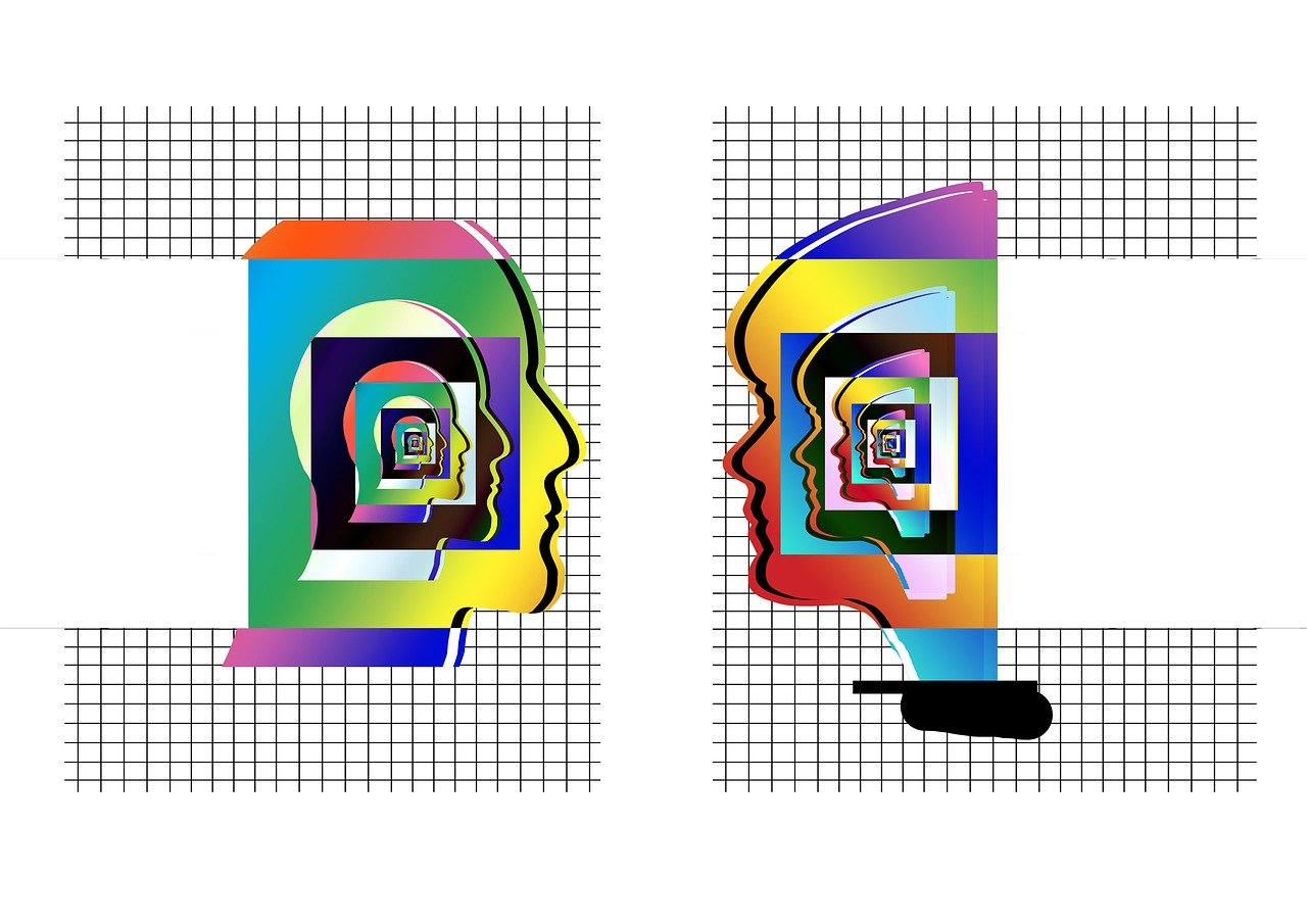 龙猫最新动态揭秘,探索未知领域的全新进展