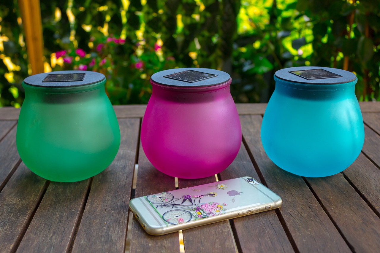 猪最新行情分析与猪价动态解读