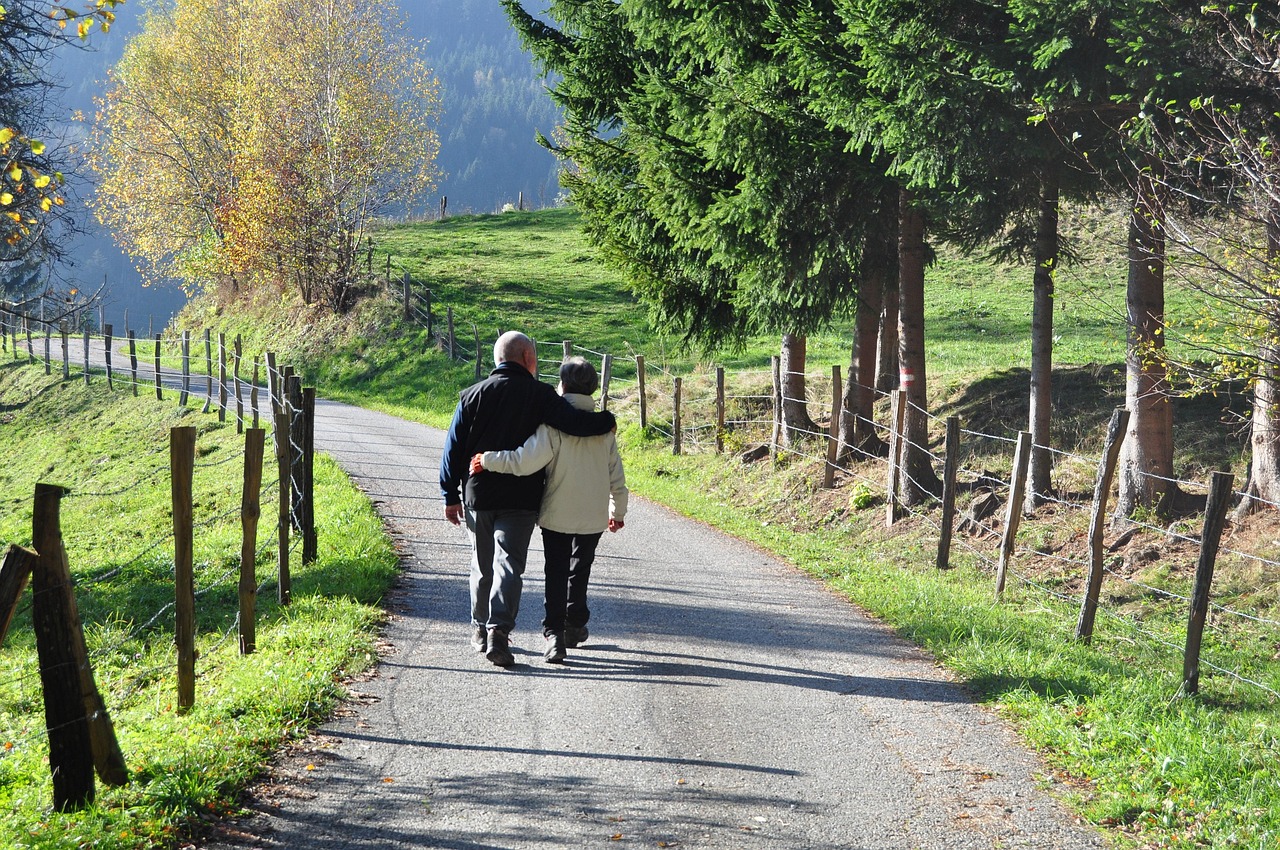 南通最新养犬趋势与实践探索